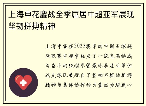 上海申花鏖战全季屈居中超亚军展现坚韧拼搏精神